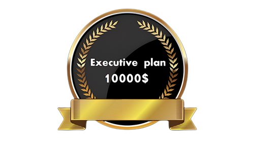 Executive